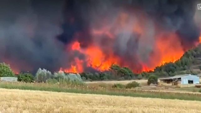 Φωτιά στην Αλεξανδρούπολη: Δύσκολη μάχη σε 4 σημεία – Απειλούνται σπίτια