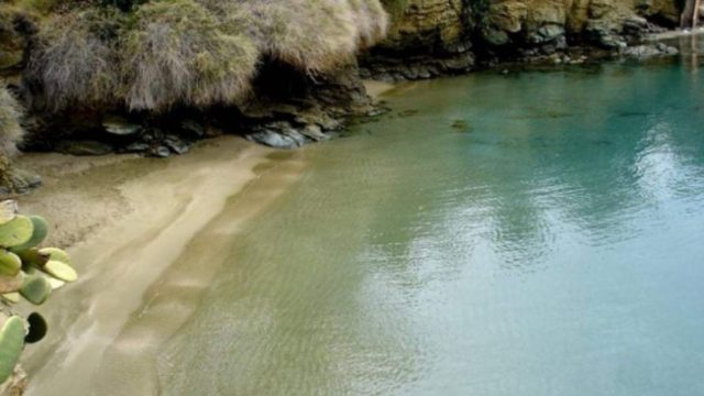 Μυστικός παράδεισος: Στην ωραιότερη «άγνωστη» παραλία της Ελλάδας οι φοίνικες και τα λουλούδια «ακουμπούν» τη θάλασσα