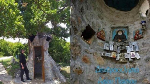 Κόνιτσα: Το εκκλησάκι που χτίστηκε μέσα σε δέντρο 300 ετών – Εντυπωσιάζει το εσωτερικό του