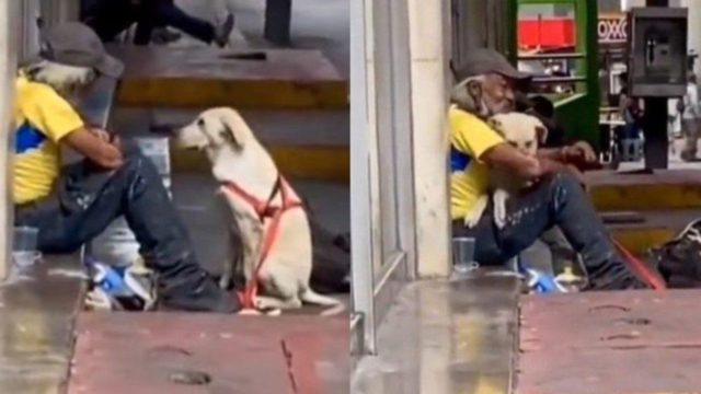 Συγκινητικό: Σκύλος πλησιάζει άστεγο και τον «αγκαλιάζει» – Του έδωσε την αγάπη που χρειαζόταν