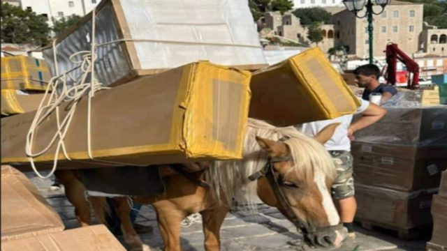 Δήμαρχος Ύδρας: «Δεν είναι κακοποίηση ζώου, είναι η καθημερινότητα του νησιού» – Η απάντησή του μετά τον σάλο του υπερφορτωμένου γαϊδουριού (video)