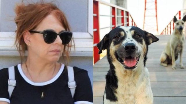 Απογοητευμένη από την ανθρωπότητα η Ελένη Ράντου: «Χίλιες φορές με σκυλιά παρά με ανθρώπους, τους αντιπαθώ»