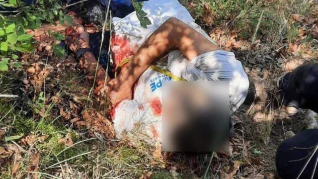 Σοκ στα Τρίκαλα με επίθεση αρκούδας σε άνδρα: «Τον δάγκωνε σε διάφορα σημεία του σώματος, δεν μπορούσε να αντιδράσει στη μανία της» (photos)