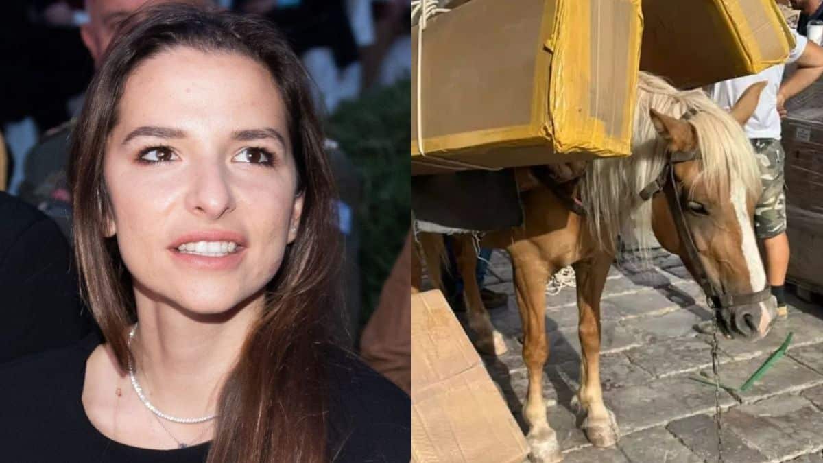 «Αυτή τη φορά θα έρθω με λύσεις»: «Κόλαφος» η Εριέττα Κούρκουλου για τα υπερφορτωμένα γαϊδουράκια στην Ύδρα (φωτο)