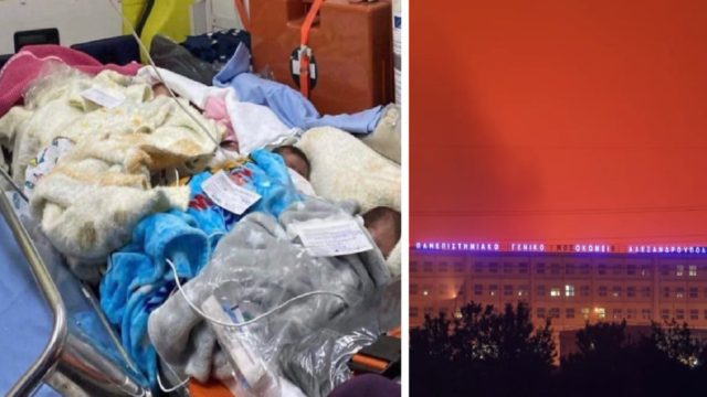 Φωτιά στην Αλεξανδρούπολη: Εικόνα «γροθιά στο στομάχι» – Νεογνά μεταφέρονται «τρία-τρία» στο λιμάνι