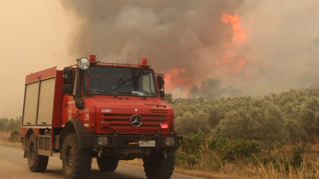 Τραγωδία δίχως τέλος στον Έβρο: Στους 26 οι νεκροί στο δάσος της Δαδιάς – 2 παιδιά στα θύματα