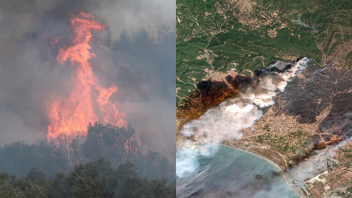 Φωτιά στην Αλεξανδρούπολη: Τρία ενεργά μέτωπα – Τεράστια καταστροφή σε Έβρο και Ροδόπη – Έκλεισε η Εγνατία