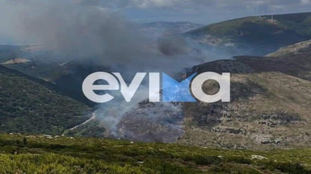Φωτιά στην Κάρυστο: Σε δύσβατο σημείο το μέτωπο της πυρκαγιάς – Ενισχύονται οι δυνάμεις της Πυροσβεστικής (video)