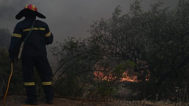 Ροδόπη: Φωτιά τώρα στην περιοχή Πάτερμα – Στη μάχη και εναέρια μέσα