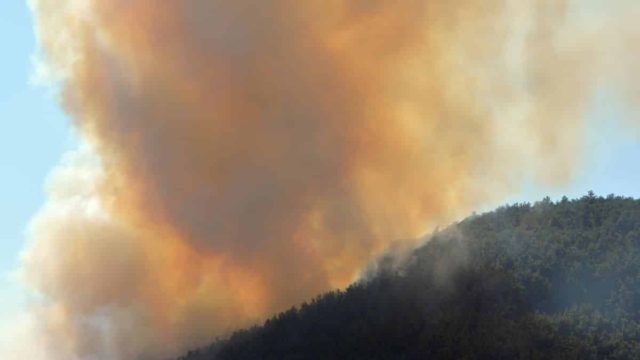 Συναγερμός στην Χαλκιδική: Φωτιά κοντά στο Βατοπαίδι Ορμύλιας – Απειλούνται εγκαταστάσεις με θερμοκήπια