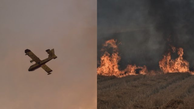 Φωτιά στην Τρίπολη: Συνελήφθη 29χρονος ως ύποπτος για εμπρησμό στον Άγιο Βλάσιο