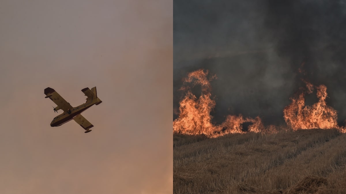 Φωτιά στην Τρίπολη: Συνελήφθη 29χρονος ως ύποπτος για εμπρησμό στον Άγιο Βλάσιο