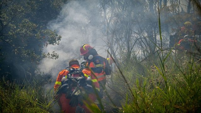 Φωτιά στο Άγιο Όρος – Στο σημείο η Πυροσβεστική