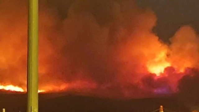 Φωτιά στη Θήβα: Μεγάλο το μέτωπο της πυρκαγιάς – Οι φλόγες φαίνονται από την Εθνική Οδό