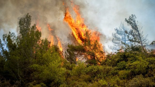 Φωτιές: Υψηλός κίνδυνος πυρκαγιάς αύριο 2/8 – Ποιες περιοχές είναι στο κόκκινο (χάρτης)