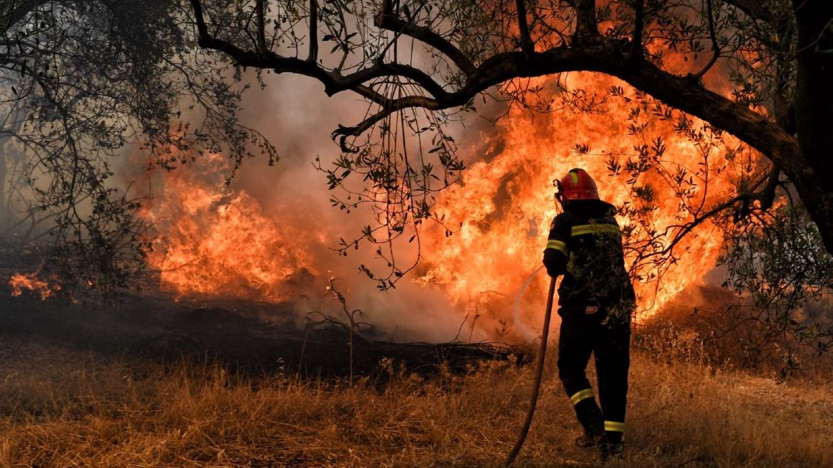 Φωτιές: Πολύ υψηλός κίνδυνος πυρκαγιάς αύριο (20/8) σε έξι περιοχές