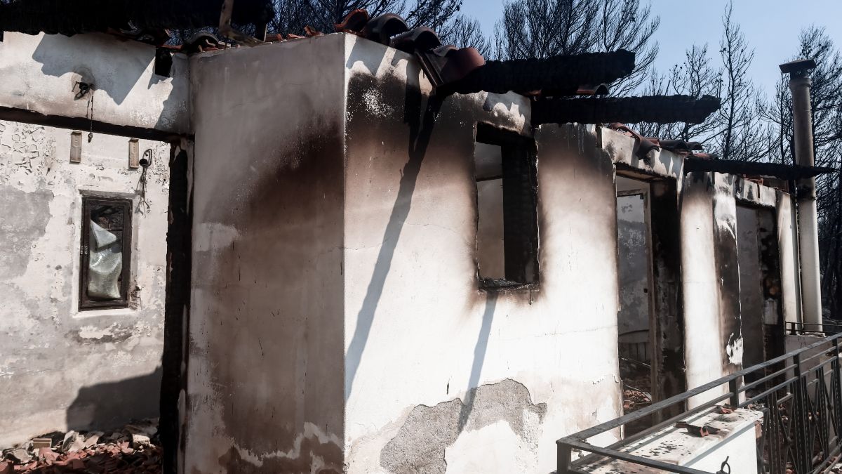 Φωτιά στην Αλεξανδρούπολη: Από αύριο (28/8) οι αιτήσεις για αποζημίωση των πυρόπληκτων