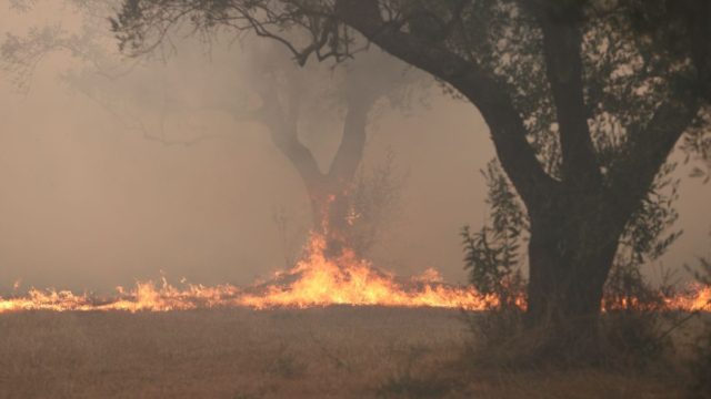 Μαρτύριο δίχως τέλος στην Αλεξανδρούπολη: Εκκενώνονται Κοίλα και Μελία – Συνεχίζει να μαίνεται η φωτιά