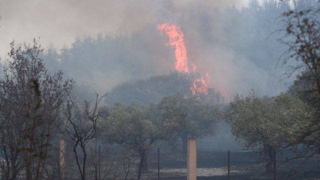 Φωτιά στην Αλεξανδρούπολη: Υπεράνθρωπες προσπάθειες να μην φτάσει στον οικισμό της Δαδιάς (video)