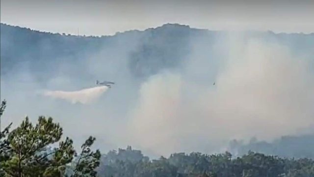 Θρίλερ στην Αλεξανδρούπολη: Τρία ενεργά μέτωπα φωτιάς – Ξεκίνησαν οι ρίψεις από τα εναέρια μέσα, «εχθροί» οι άνεμοι (video)