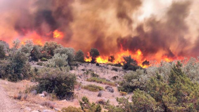 Συναγερμός στη Βοιωτία: Το 112 ζητά την εκκένωση 9 περιοχών! – «Οι ισχυροί άνεμοι δε μας επιτρέπουν να σταματήσουμε την καταστροφή»