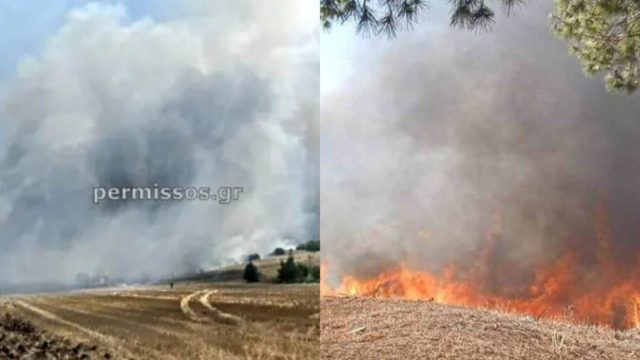 Φωτιά στη Βοιωτία: Νεκρός βοσκός που έσπευσε να σώσει τα ζώα του