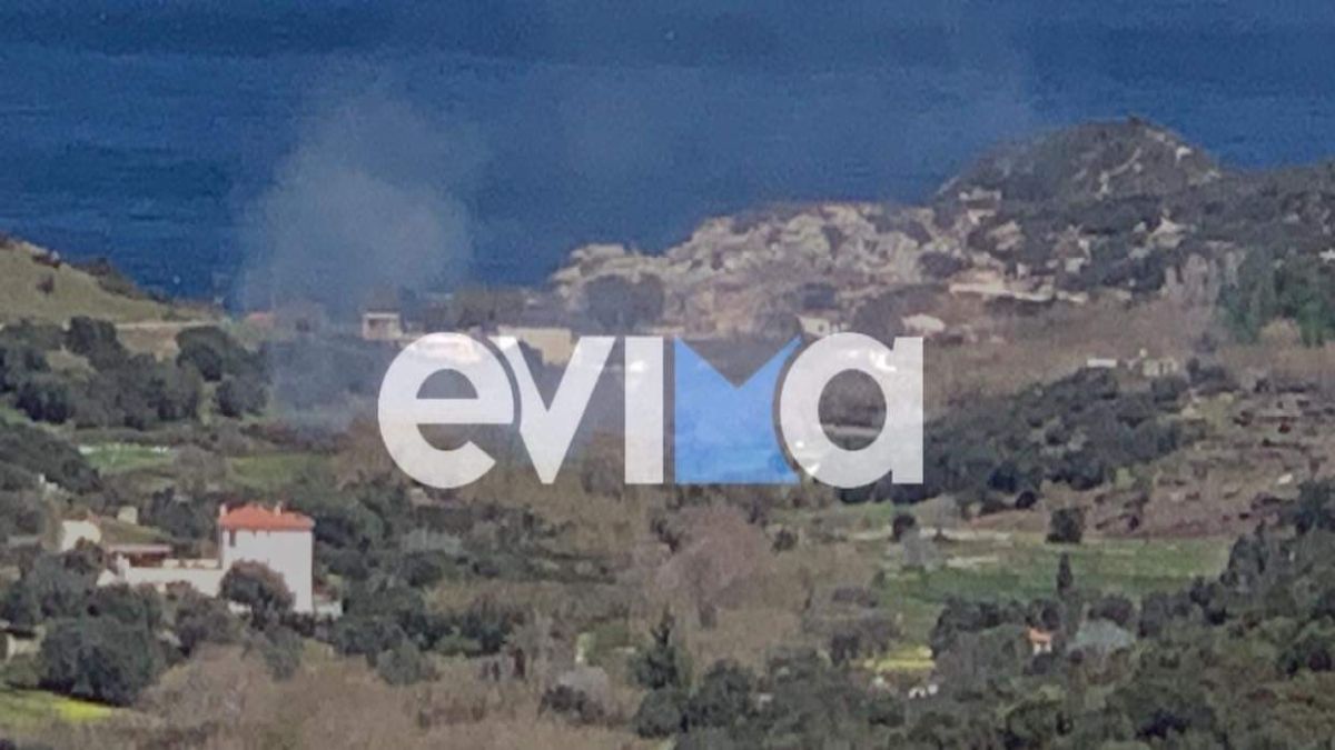 Φωτιά σε δασική έκταση της Εύβοιας – Άμεση κινητοποίηση των πυροσβεστικών δυνάμεων