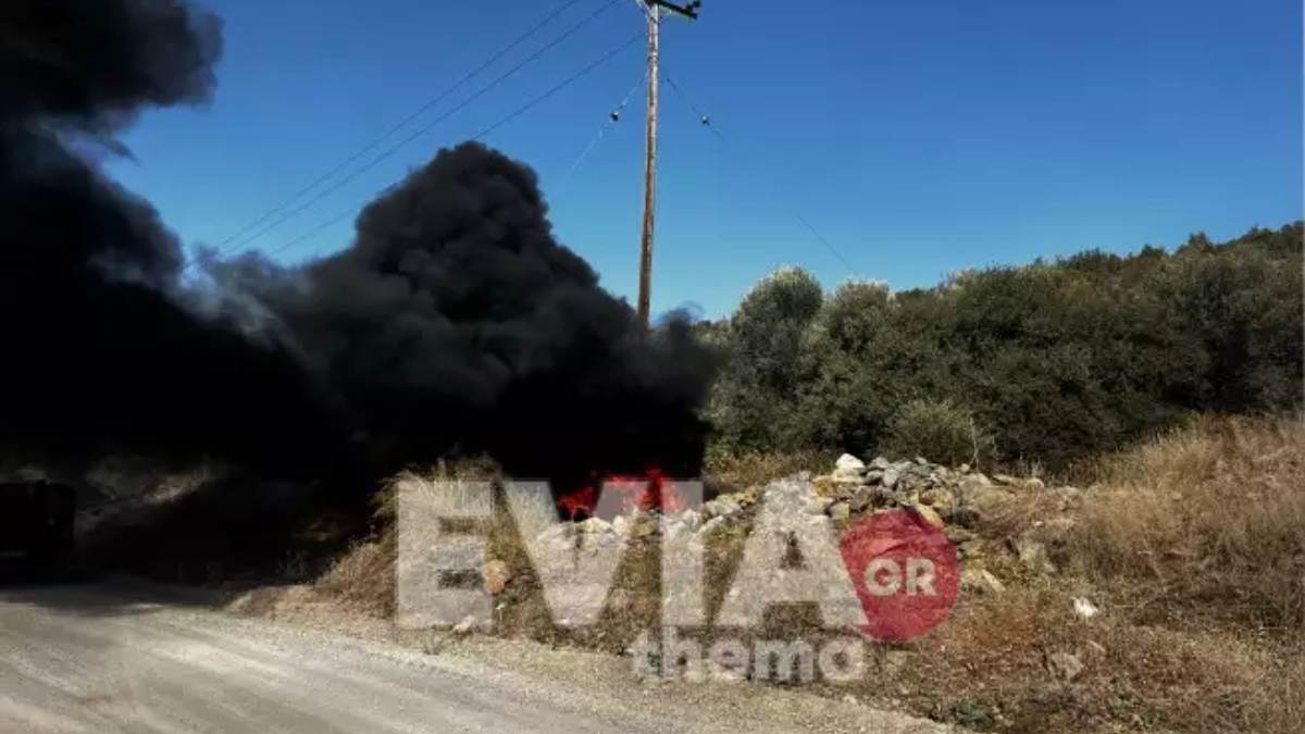 Μεγάλη φωτιά στην Εύβοια: Δύο ταυτόχρονες εστίες στα Ψαχνά – Μήνυμα εκκένωσης του 112 (video)