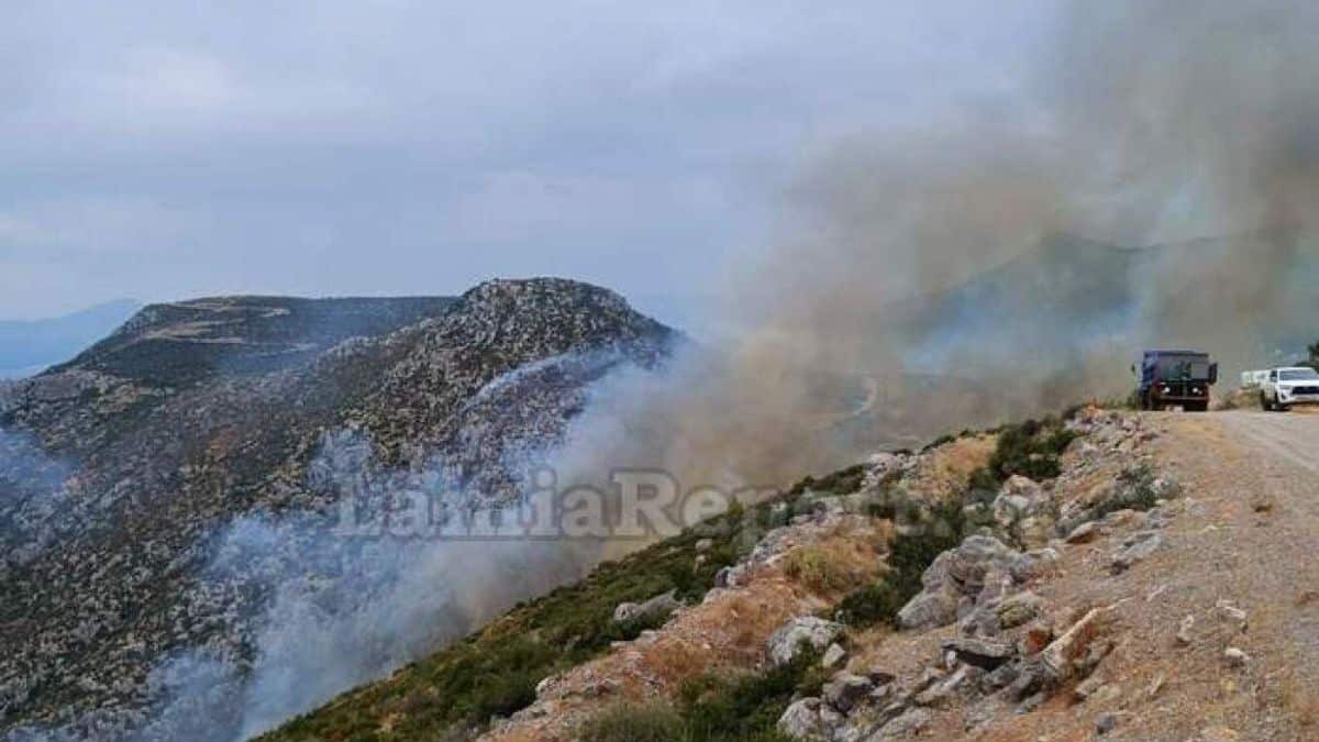 Φωτιά στην Φθιώτιδα: Σε δύσβατο σημείο στους Λοκρούς – Προσπαθούν οι πυροσβεστικές δυνάμεις (photos)