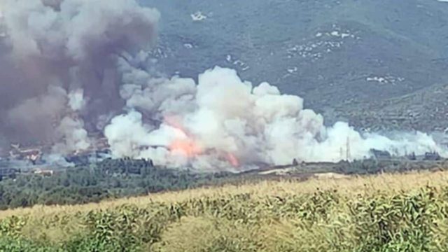 Φωτιά σε ελαιώνες στην Καβάλα: Εκκενώνεται το Διαλεκτό – Τραυματίστηκαν πυροσβέστες (video-photos)