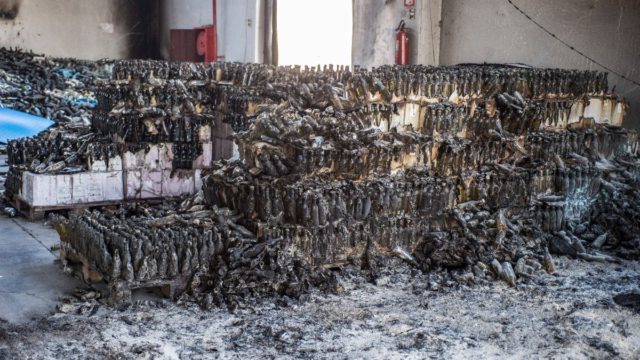 Φωτιά στη Μαγνησία: «Όταν βρέξει οι καρκινογόνες ουσίες της φωτιάς θα περάσουν στο πόσιμο νερό» – Καθηγητής κρούει τον κώδωνα κινδύνου