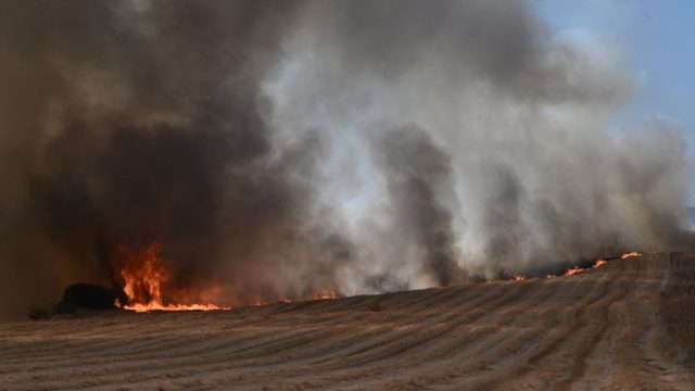 Νέα φωτιά στη Μαγνησία: Συναγερμός σε επίγειες και εναέριες δυνάμεις – Ζητά εκκένωση το 112