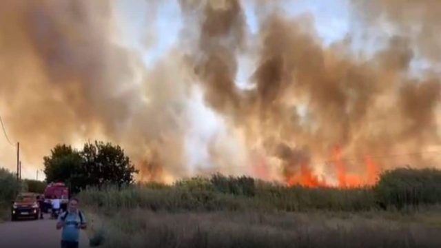 Πυρκαγιά στη Μεσσηνία: Μεγάλη επιχείρηση της Πυροσβεστικής – Μήνυμα του 112 για εκκένωση στην Ασπροπουλιά (video-photos)