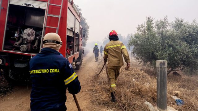 Φωτιά στην Παλλήνη – Άμεση κινητοποίηση της Πυροσβεστικής