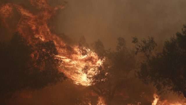 Φωτιά στην Πάρνηθα: Εκκενώνεται το κέντρο κράτησης στην Αμυγδαλέζα – 700 άτομα μεταφέρονται Πέτρου Ράλλη και Μαλακάσα (video)