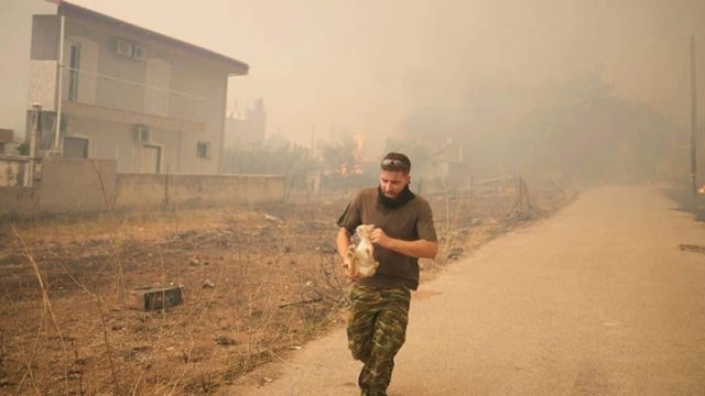 Φωτιά στην Πάρνηθα: Κάτοικος τρέχει να σωθεί με μια γάτα στα χέρια (photos)