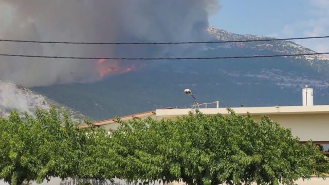 Εφιάλτης στην Πάρνηθα: Πέρασαν στον Εθνικό Δρυμό οι φλόγες! – Ανεβαίνουν σαρωτικά στο καζίνο (video)