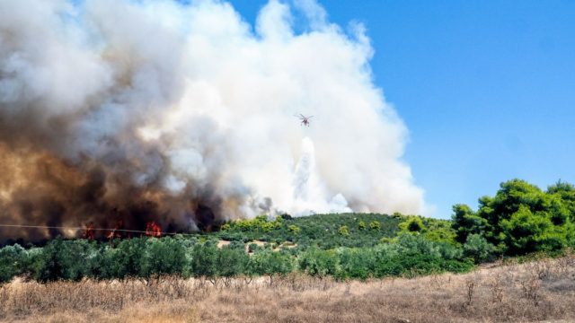 Φωτιά στα Ψαχνά: Προσήχθη 17χρονος ΑμεΑ για εμπρησμό – Τον κατήγγειλε η μητέρα του!
