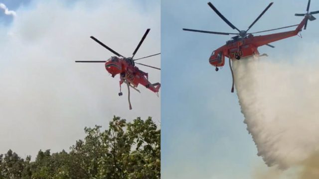 Φωτιά στην Αλεξανδρούπολη: Νέο μήνυμα από το 112 – Εκκενώνονται οι οικισμοί Νίψα, Αετοχώρι και Πεύκα