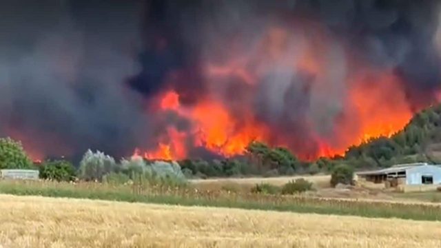 Φωτιά στην Αλεξανδρούπολη: Σε κατάσταση έκτακτης ανάγκης – «Κόποι μιας ζωής έγιναν στάχτη» (video)