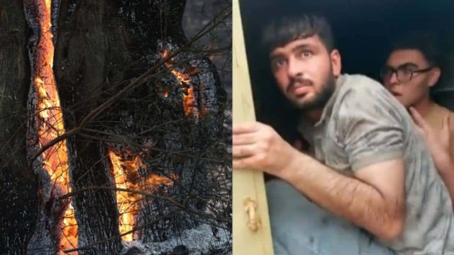 Φωτιές στον Έβρο: Βαρύ το κατηγορητήριο για τους 13 μετανάστες και τους τρεις αυτόκλητους «φύλακες» (video)