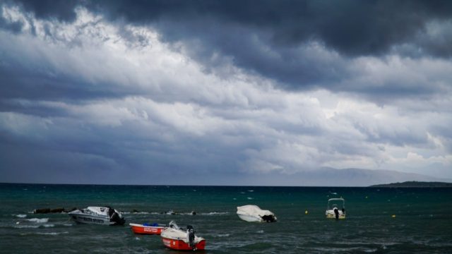 Η φωτογραφία της ημέρας: Άγρια καλοκαιρινή ομορφιά στην Ρόδα Κέρκυρας