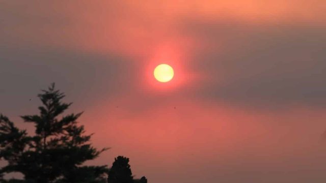 Καιρός σήμερα 23/8: Ζέστη και ισχυρά μελτέμια, το εκρητικό «μείγμα» για τις φωτιές – Πότε εξασθενούν οι άνεμοι (video)