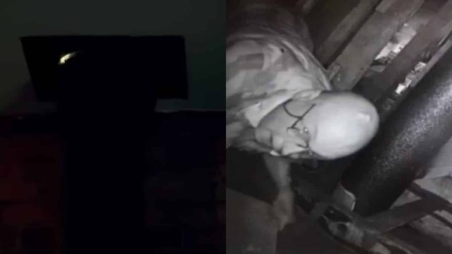 Έβαλε κρυφή κάμερα στην σοφίτα γιατί άκουγε περίεργους θορύβους – Όταν αντίκρυσε τι συνέβη έμεινε άφωνος (video)