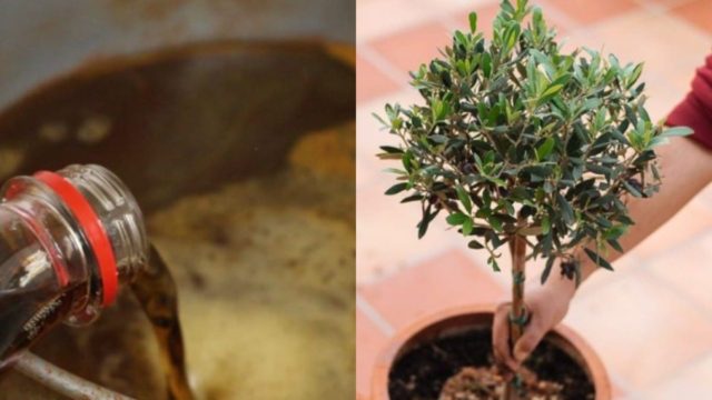 Πείτε «αντίο» στη σκουριά με…. αναψυκτικό! Tips για να αφαιρέσετε τους δύσκολους λεκέδες από το μπαλκόνι σας