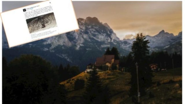 Απίστευτες εικόνες: «Λυκάνθρωπος» εντοπίστηκε σε δάσος της Γερμανίας – Θύμιζε άνθρωπο των σπηλαίων!