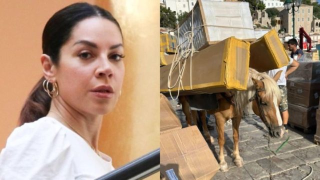 Έξαλλη η Μαριάντα Πιερίδη με τον δήμαρχο Ύδρας – «Είστε και ιστορικός…» (video)
