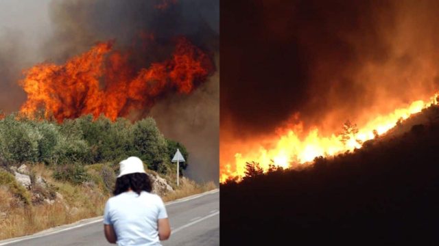 Τραγική αποκάλυψη Meteo: Το 23% της Αττικής κάηκε μέσα στα τελευταία 7 χρόνια