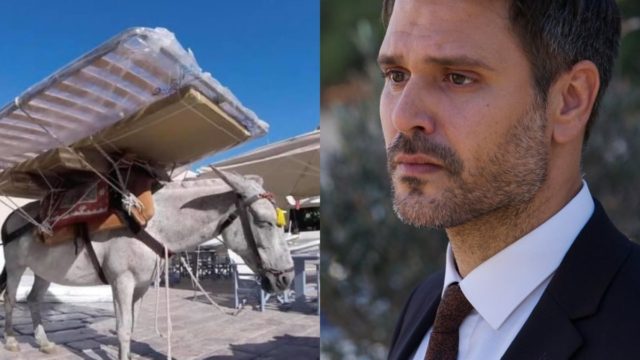 Πήρε θέση ο Μιχάλης Λεβεντογιάννης για τα γαϊδουράκια στην Ύδρα – «Ξεφτίλα! Η αντίληψη κάποιων φτάνει πάτο»