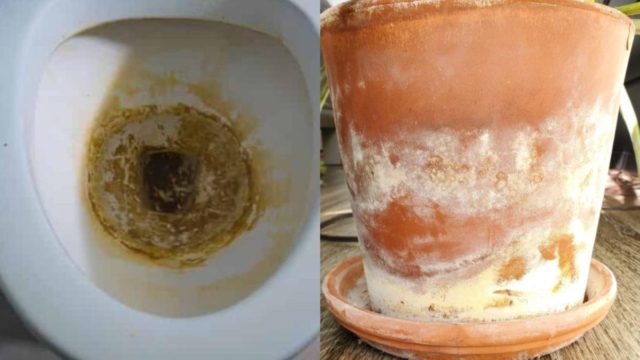 Άλατα στο μπάνιο και μουχλιασμένες γλάστρες: Το καθαριστικό που έχουμε στο ντουλάπι και εξαφανίζει τους λεκέδες